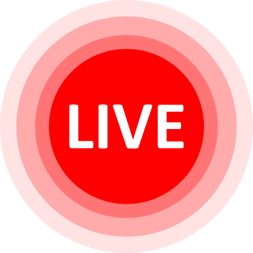 Allison Palmer Cam
